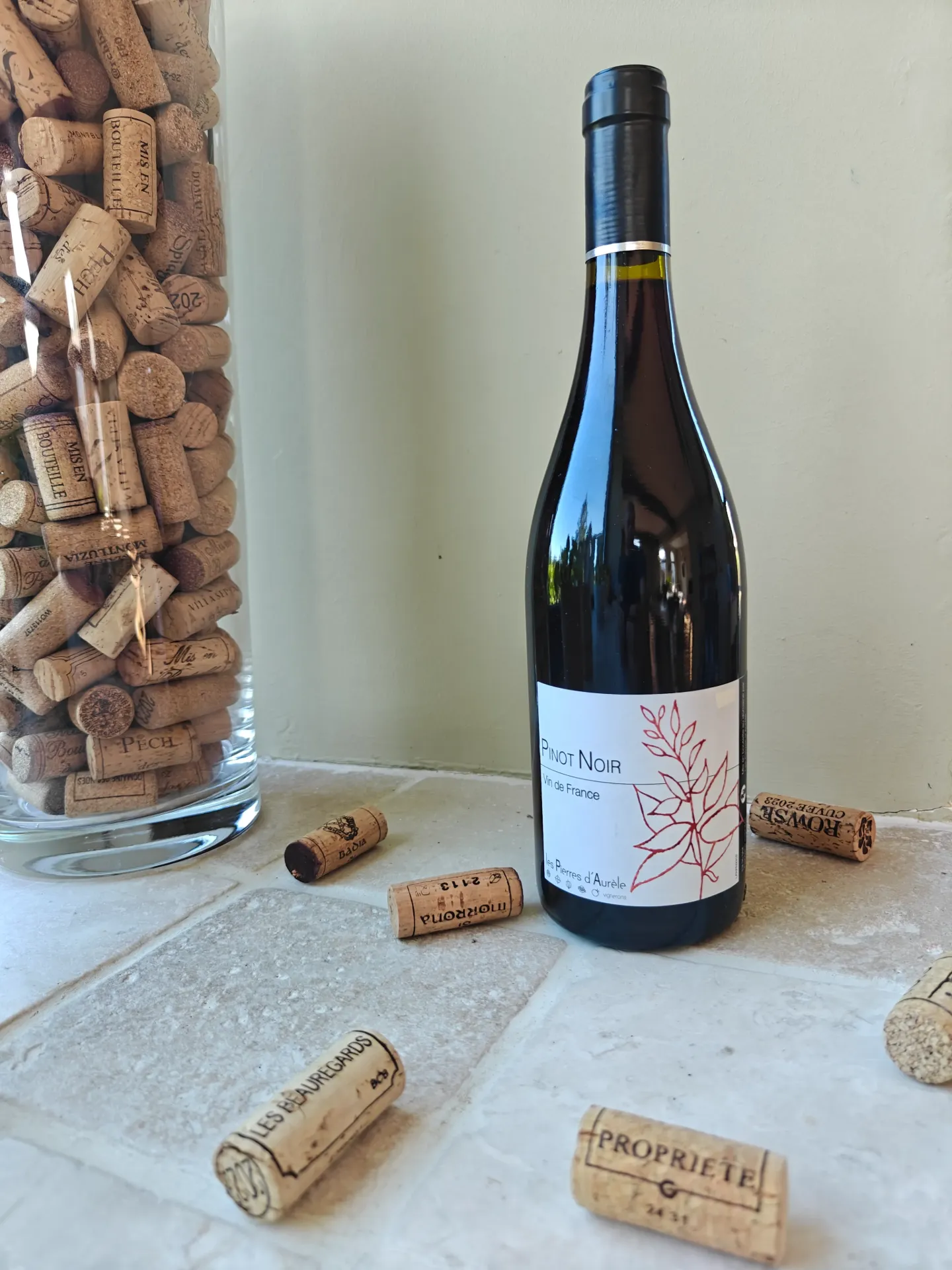 Pinot Noir - 2025 - Les Pierres d'Aurèle