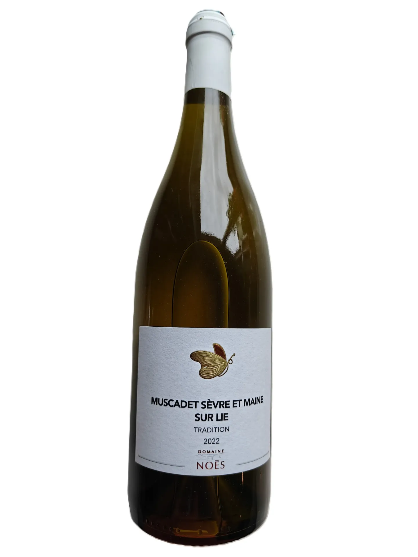Muscadet Tradition - 2022 - Domaine des Noës