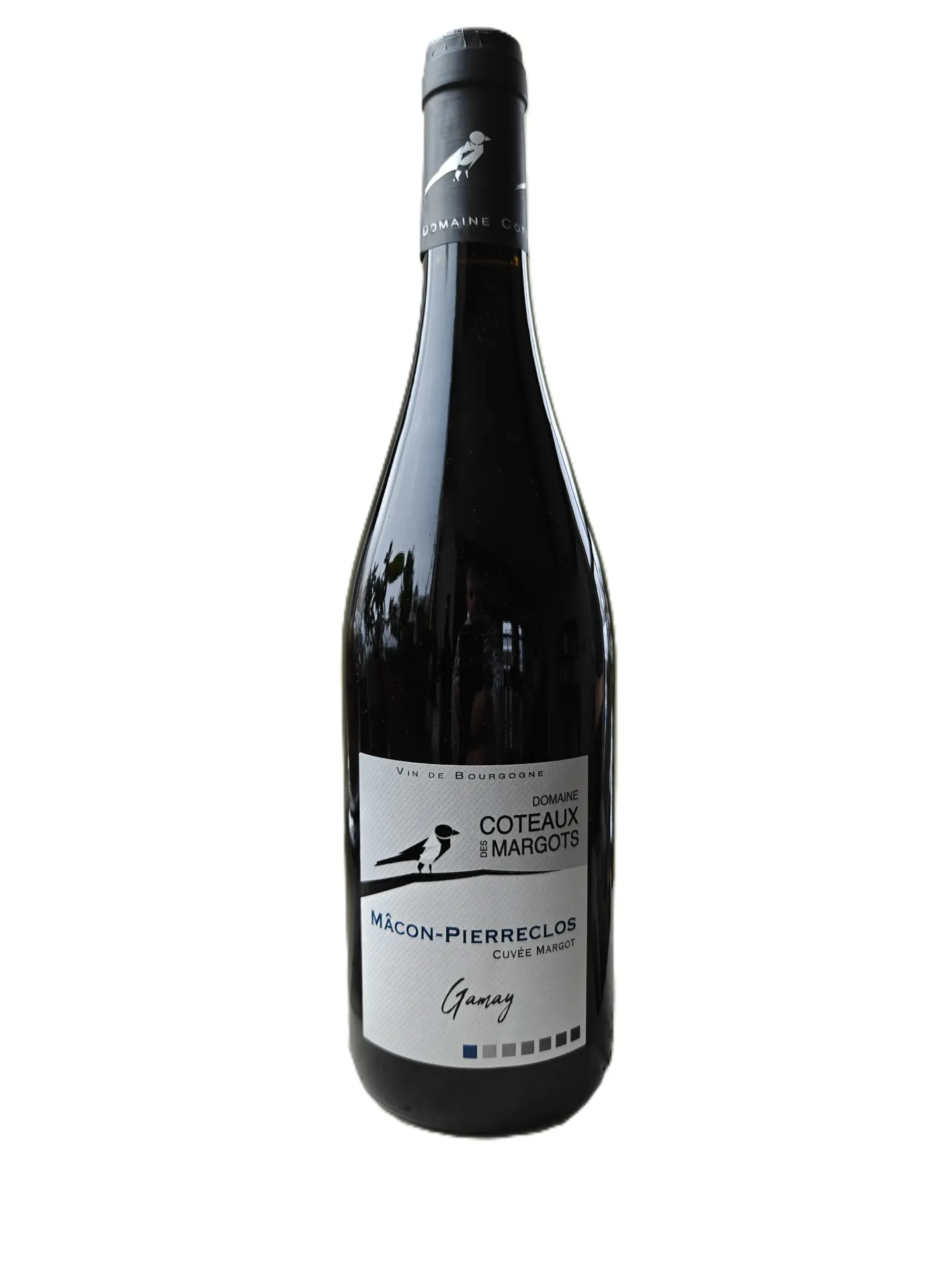 Macon-Pierreclos - 2023 - Domaine Coteaux des Margots