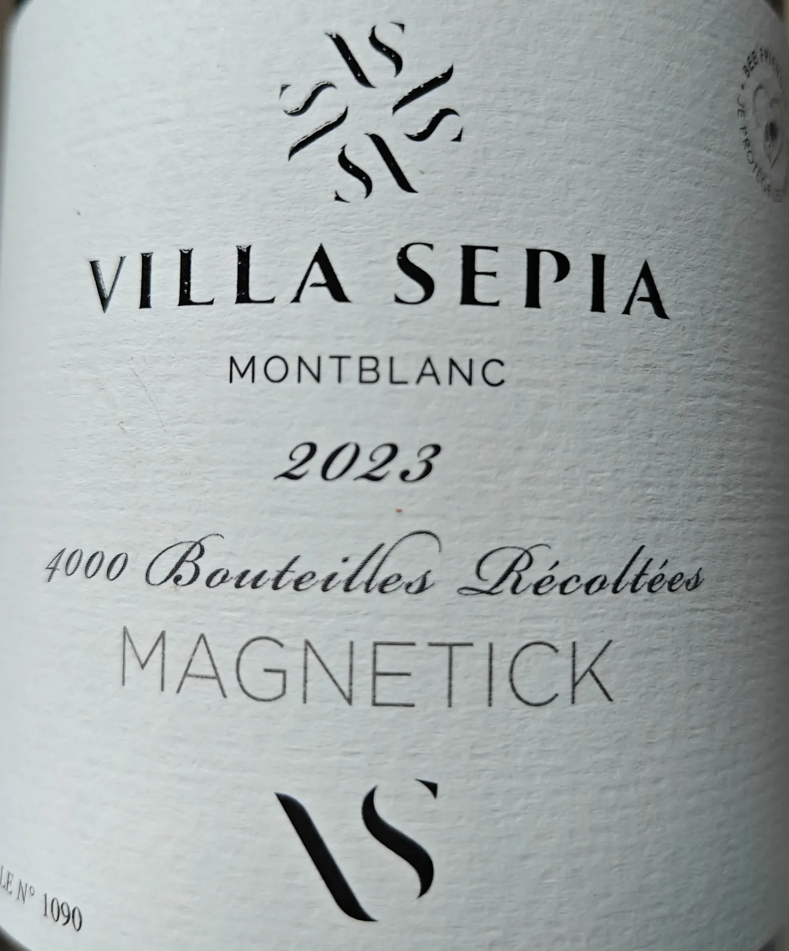 Magnetick - 2023 - Villa Sepia